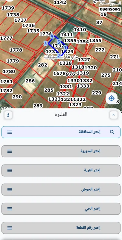 أرض استثمارية مميزة 5 دونمات قرب خط بغداد الدولي و جامعة ال البيت – منطقة تنموية واعدة بالمفرق 3