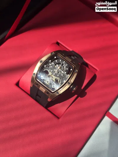 Alden Royston mechanical Watch. Model:AR8450 2