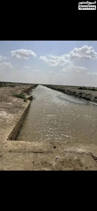 مشروع ثمار الزراعي 4