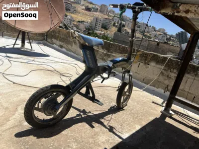 تايجر أخرى 3