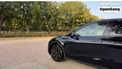 Tesla Model Y Long Range 4