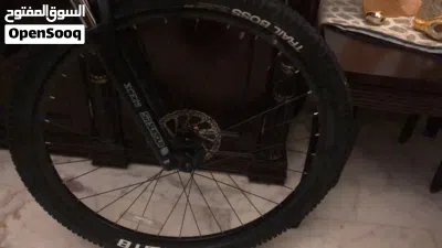 Mongoose bicycle 4
