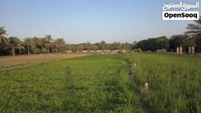 قطعه ارض زراعيه للبيع 3