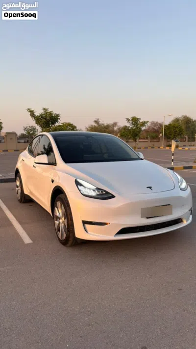Tesla Model Y Long Range 4