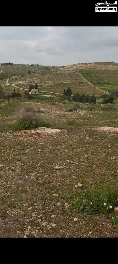 ارض للبيع .عين والمعمرية . 3