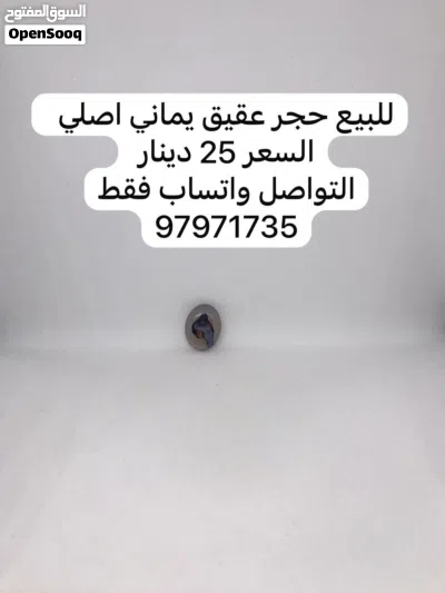 التواصل على الواتساب فقط 4