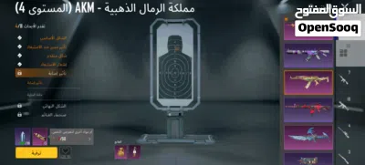 حساب ببجي مانقصه شي نوادر وصرفيات 3