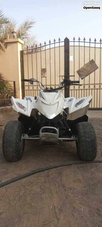cobra 100cc Korean automatic gear 3