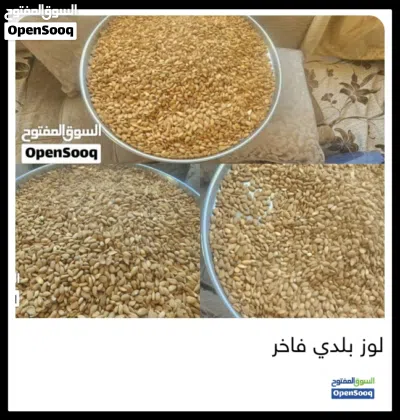 متوفر العسل السدر الملكي والزبيب واللوز الجبري بلدي درجه اولى لدينا توصيل السعر حسب المنتج 3