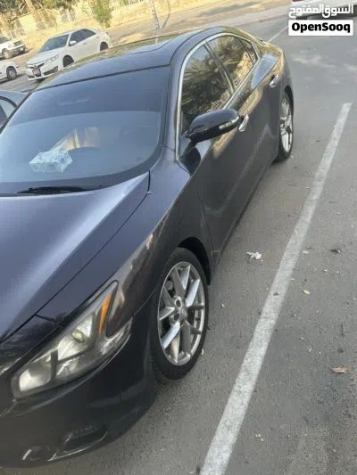 Nissan Maxima SR1 2