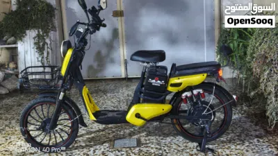 QJmotor Scooter 3