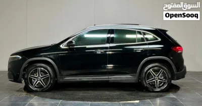 Mercedes Benz EQA-Class EQA 250 3