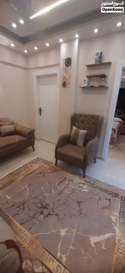 شقه ب القصر العيني امام مستشفى القصر العيني ثلاثه غرف 2
