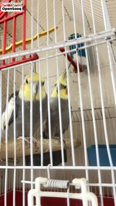 undefined 2