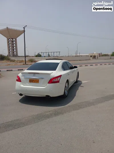 نيسان مكسيما SV 2