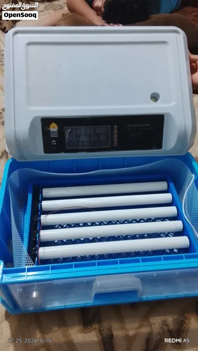 فقاصت دحيي 2