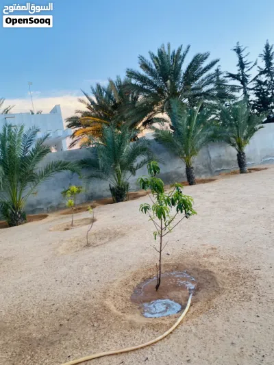 استراحة في طريق المشتل ع رئيسي 4