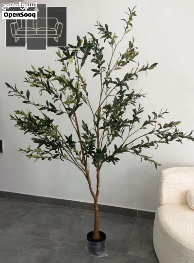 شجرة زيتون صناعية بتصميم مودرن (180 سم تقريباً) Olive trees add a touch of luxury to your home's dec 2