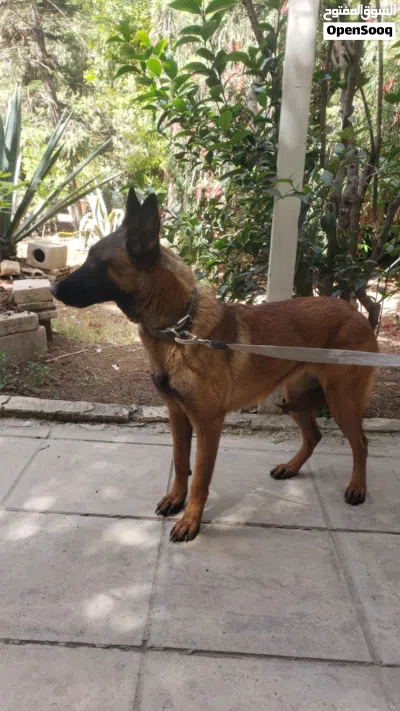 undefined 4
