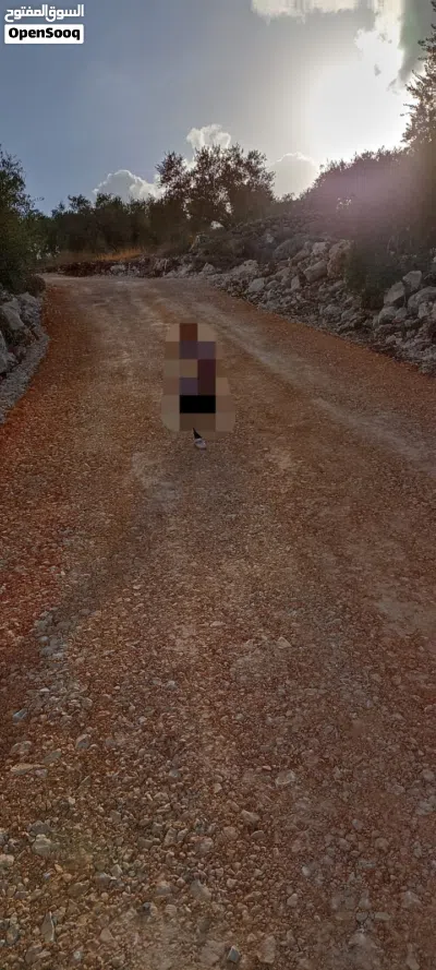 ارض موقع ممتاز لقطه للبييع في بديا 2