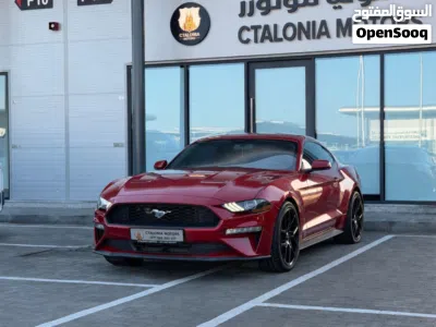 Ford Mustang Standard 2