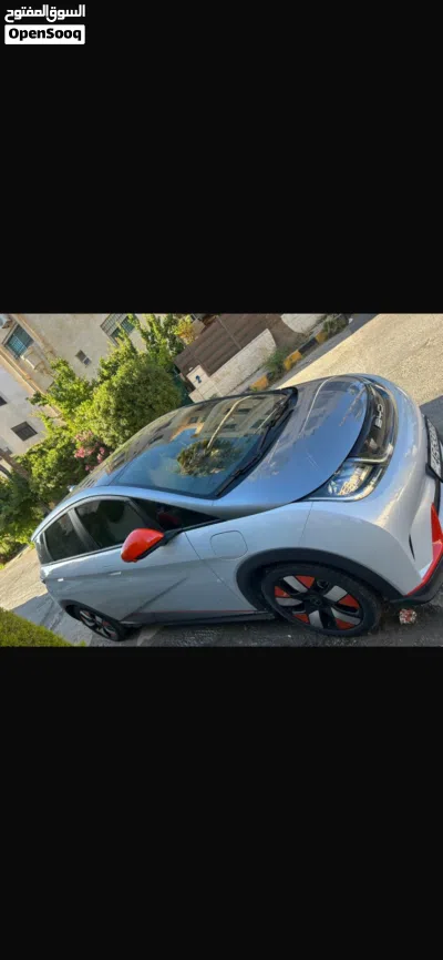 BYD Dolphin 2