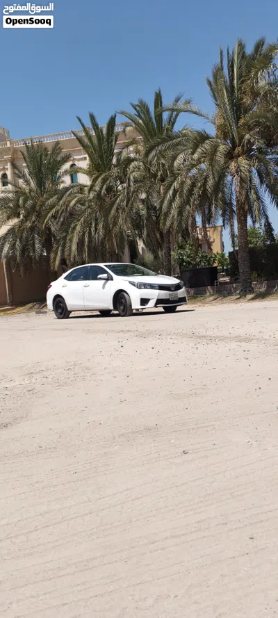 Toyota Corolla XLI 3