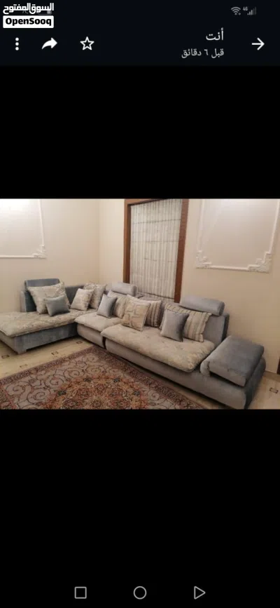 صوفة للبيع 3