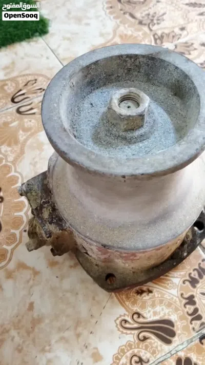 راس ويش للبيع 4
