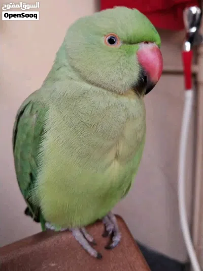 undefined 2