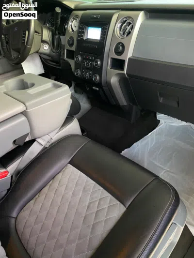 Ford F-150 Standard 2