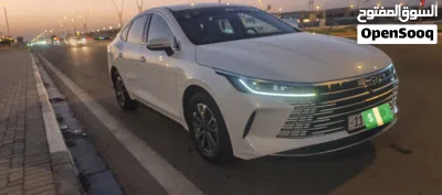 BYD Destroyer 05 3