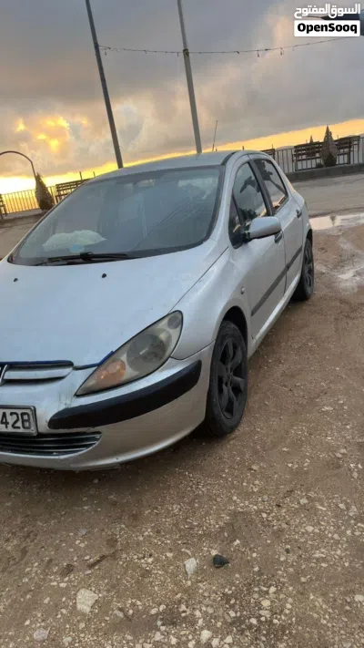 Peugeot 307 XT 2