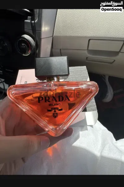 Prada Paradox 2
