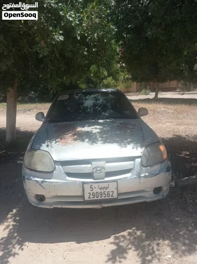 Hyundai Verna EX 2