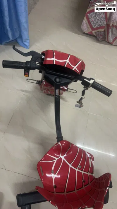 Three wheeler electric bike 2