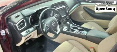 Nissan Maxima Standard 2