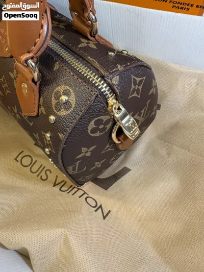 Louis Vuitton LV Speedy Trunk (master quality) 3