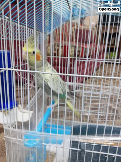 undefined 3