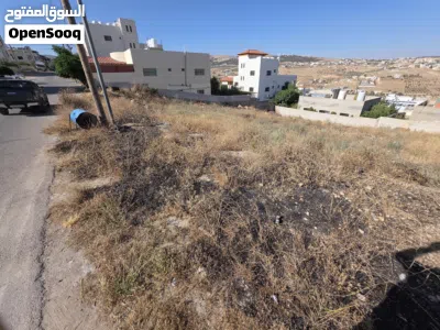 قطعة مميزة في الجبل الاخضر 3