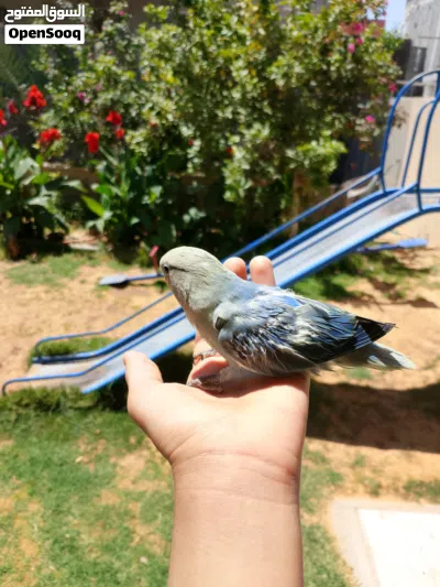 undefined 2