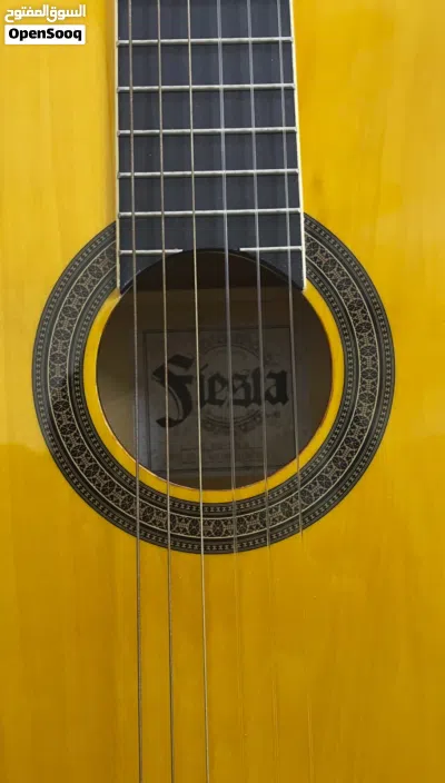 Fiesta Classical Guitar 2