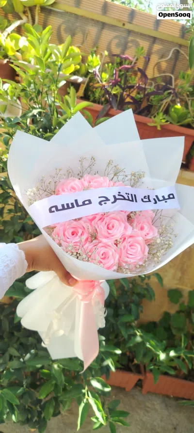 ورود ستان تحاكي الطبيعي فاخرة 3