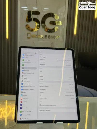 iPad M2 (256G) 4