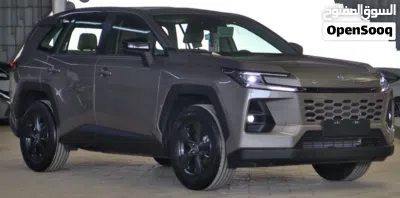 Toyota RAV 4 LE 4