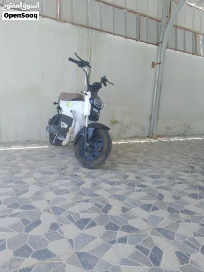 مسعود الغافري 4