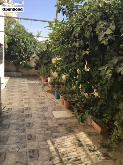 بيت مستقل ع الشارع الرئيسي 4