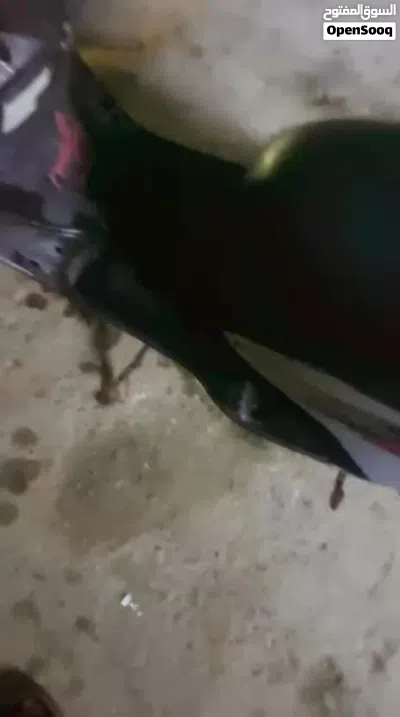 ياماها XMAX 3