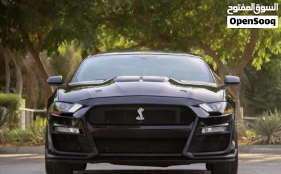 Ford Mustang GT 2