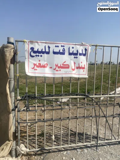 قت نظيف للبيع 2